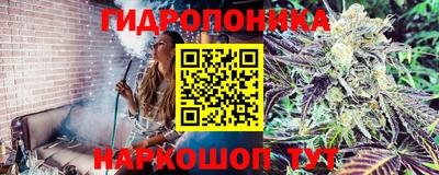 трава Северобайкальск