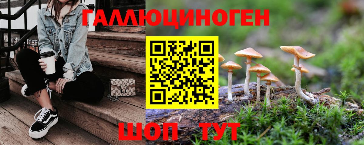 Галлюциногенные грибы прущие грибы Арзамас