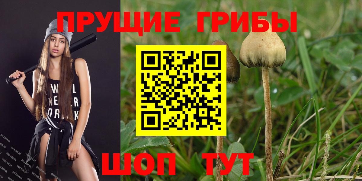 Арзамас  Галлюциногенные грибы MAGIC MUSHROOMS  Вход с VPN 