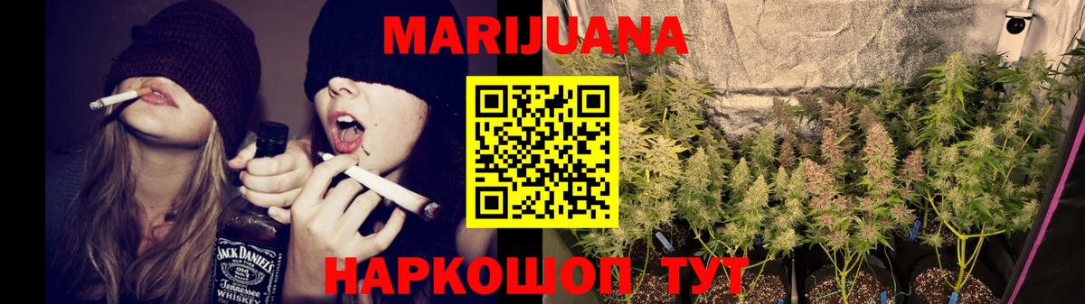 Бошки Шишки планчик Арзамас